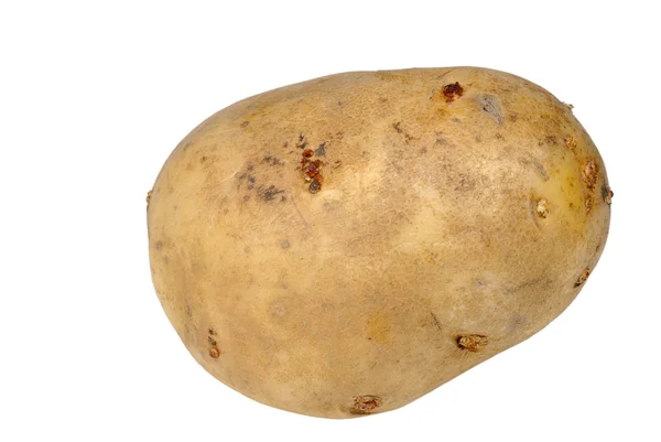 고립 된 감자 — 스톡 사진