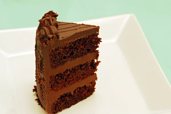 Schokoladenkuchen im Stehen — Stockfoto