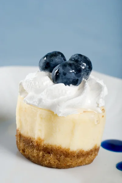Closeup cheesecake met verse bosbessen en slagroom — Stockfoto