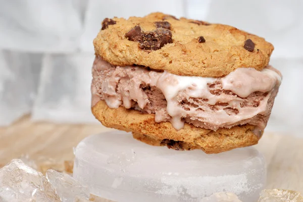 Closeup sanduíche de sorvete de chocolate chip — Fotografia de Stock