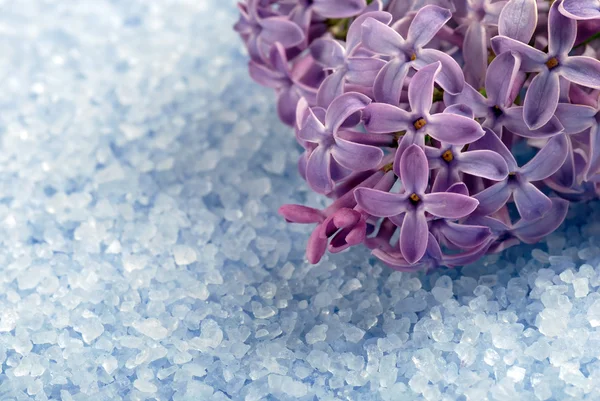 Makró lila virág fürdősók — Stock Fotó