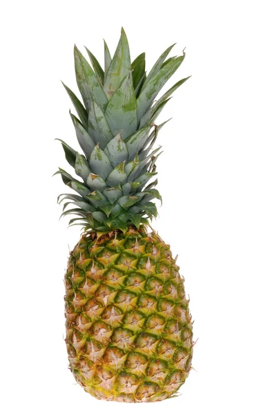 Isolated pineapple — Stock Photo, Image