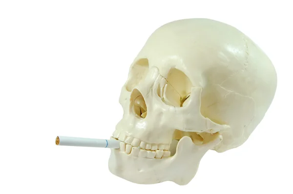 吸烟的头骨 — 图库照片