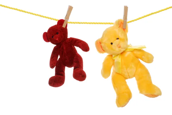 stock image Two teddy bears on clothes line