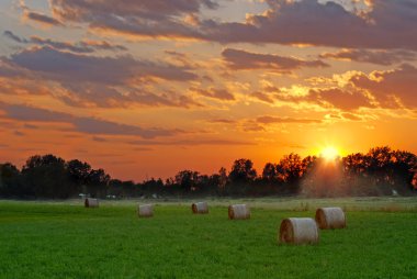 Sun setting on hay field clipart