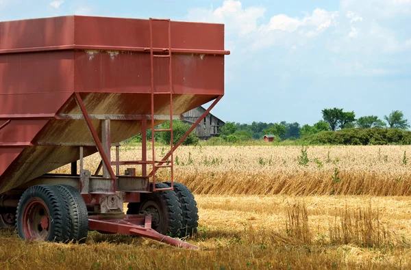Closeup farm trailer v pšeničné pole — Stock fotografie