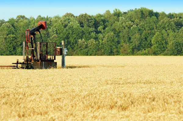Масляний насос у пшеничному полі — стокове фото
