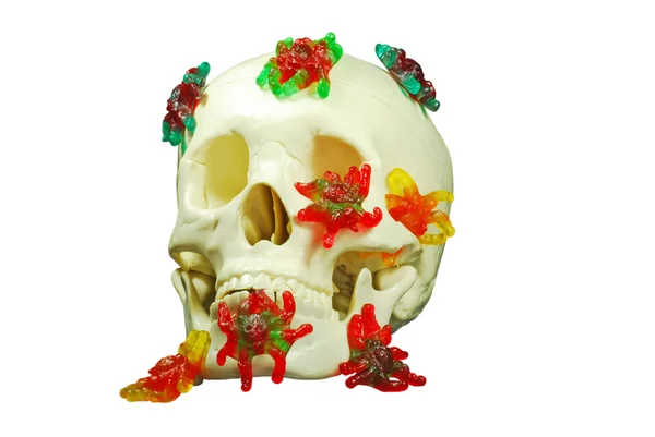 Gummi spin schedel — Stockfoto