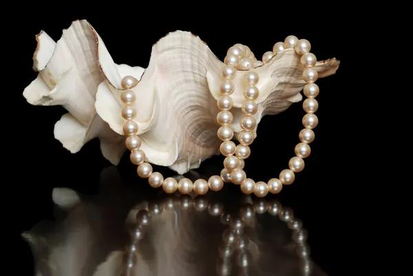 Cremefarbene Perlen in einer Muschel — Stockfoto