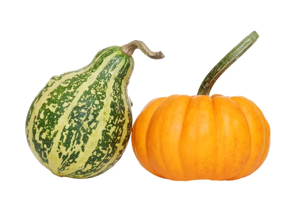 Green and orange gourd — Stock Photo, Image