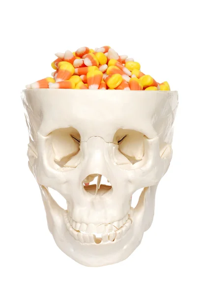Menselijke schedel gevuld met snoep maïs — Stockfoto