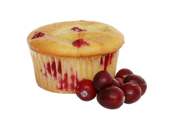 Muffin di mirtilli rossi al limone isolato — Foto Stock