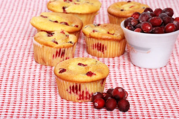 Massor av citron cranberry muffins — Stockfoto