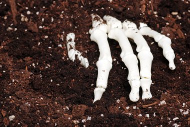 Skeleton hand in dirt clipart