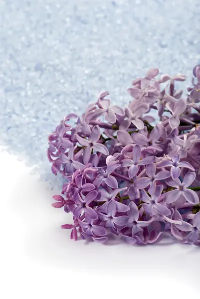 Makró lila fürdősó és virágok — Stock Fotó