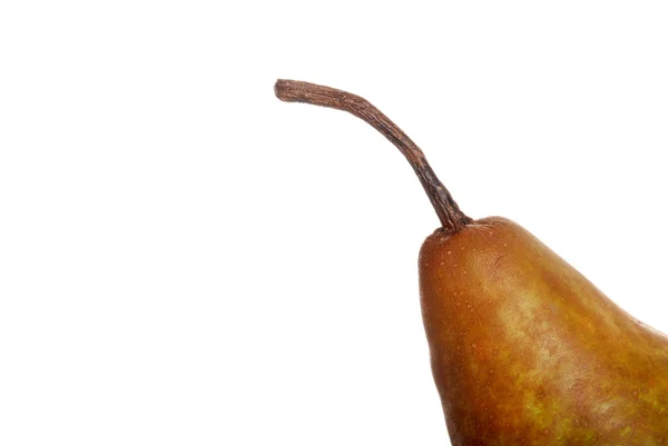 Macro of a pear stem — Stock Photo, Image