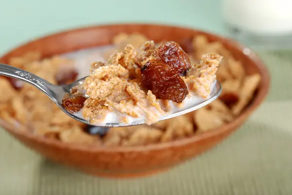 Macro spoonful of bran and raisin cereal — Stok fotoğraf