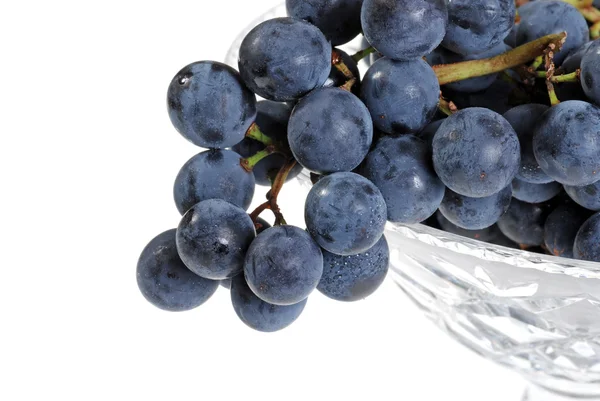 Closeup concord druiven — Stockfoto