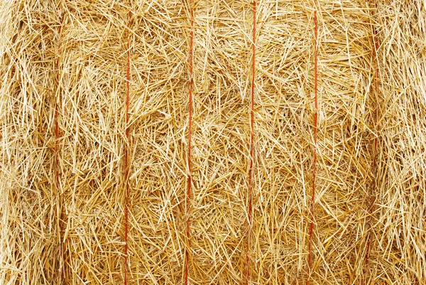 Closeup hay bale — Stock Photo, Image