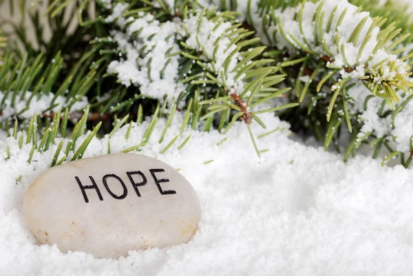 Hope stone in snow — Stock Photo, Image