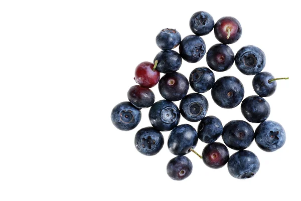 孤立的蓝莓 — 图库照片