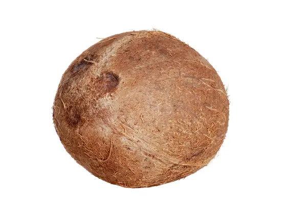 Isolerade kokos — Stockfoto