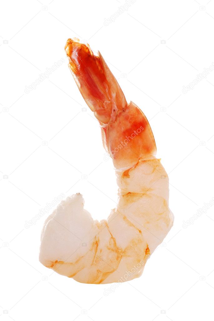 Isolated shrimp