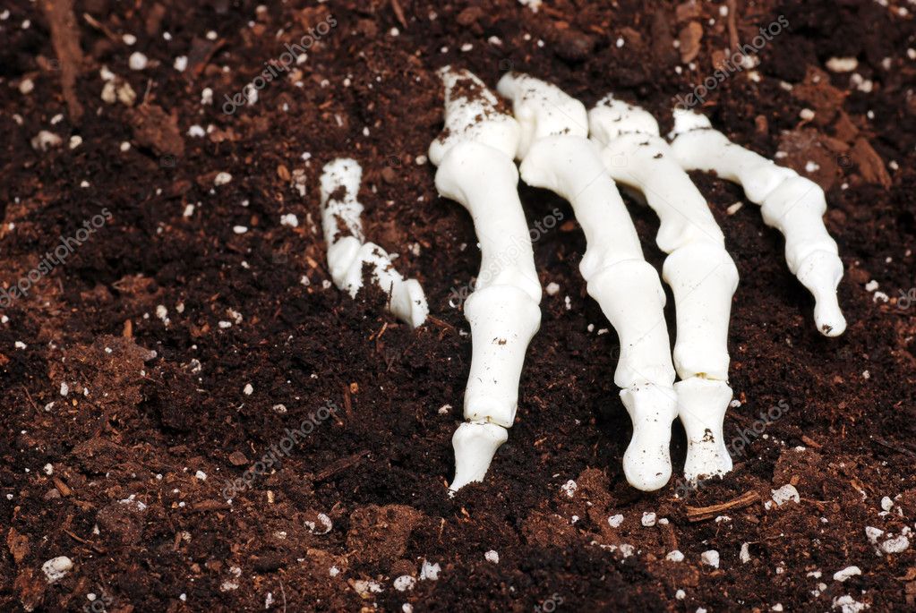 Skeleton hand in dirt