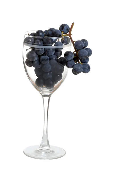 Σταφύλια σε ποτήρι κρασί — Φωτογραφία Αρχείου