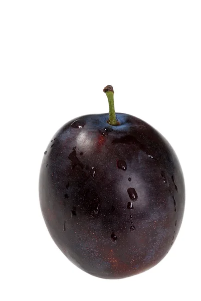 Isolated wet plum — Stock Photo, Image