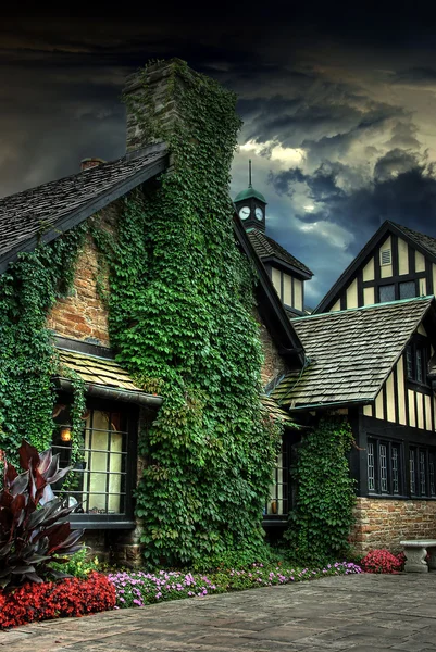 Виноградный дом — стоковое фото
