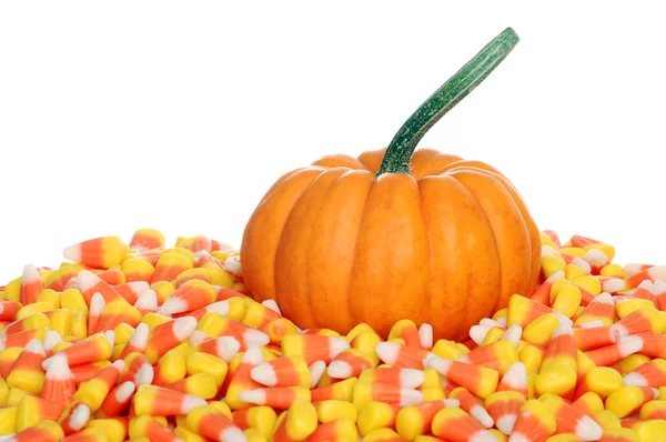 Pumpkin with candy corn — Stock Photo, Image