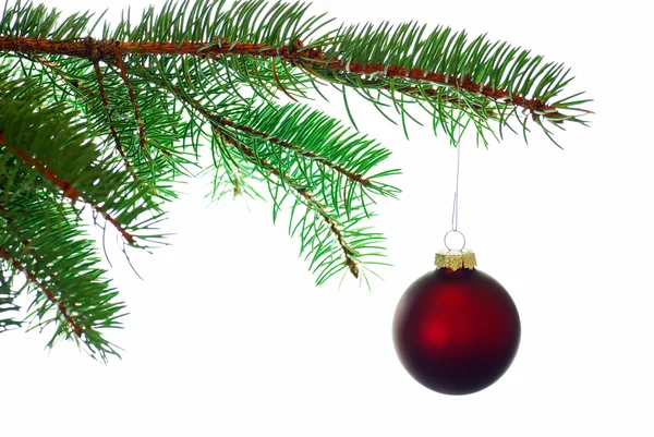 Bola roja de Navidad en una rama — Foto de Stock