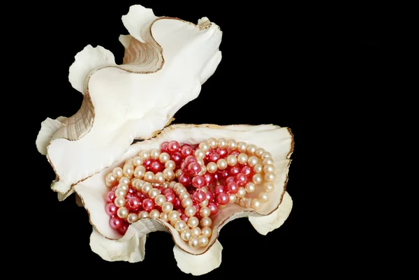 Жемчужные ожерелья в морской раковине — стоковое фото