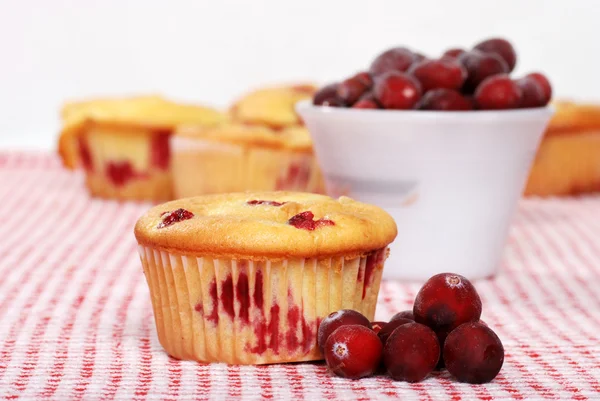 Muffin de cranberry limão — Fotografia de Stock