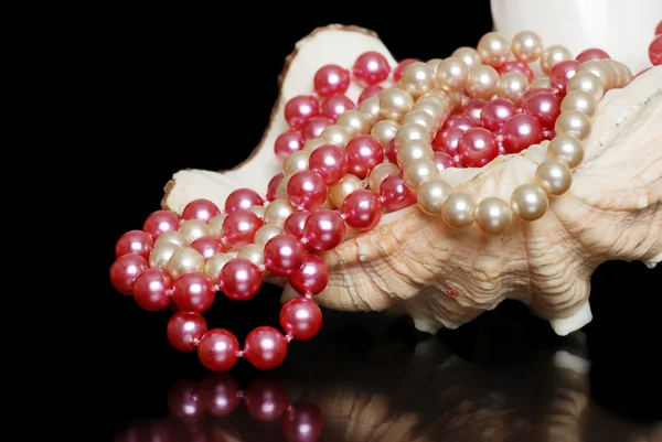 Coquille de mer avec colliers de perles — Photo
