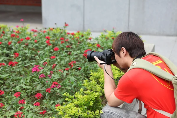 Fotógrafo más joven tiro flor — Foto de Stock
