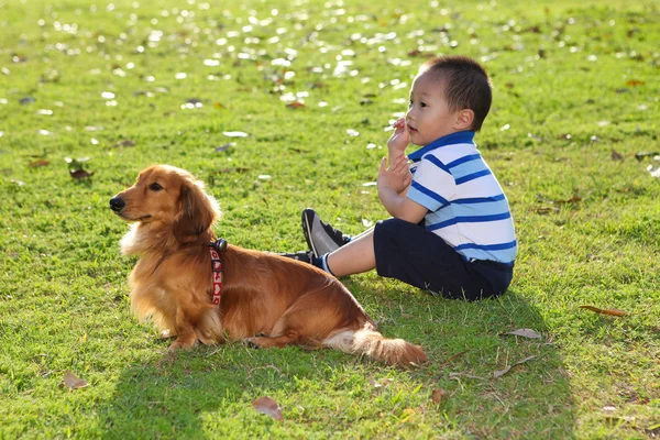 stock image Chinese child with a dog in the park watching