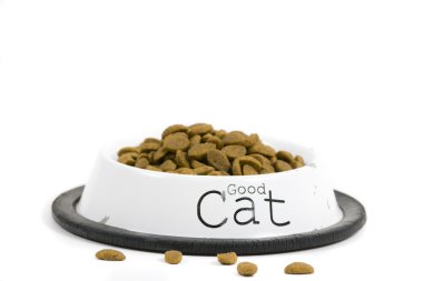 Cat's food clipart