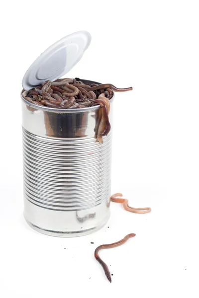 Can of worms — Stock Photo, Image