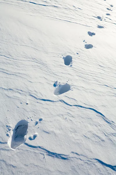 Сніговик — стокове фото