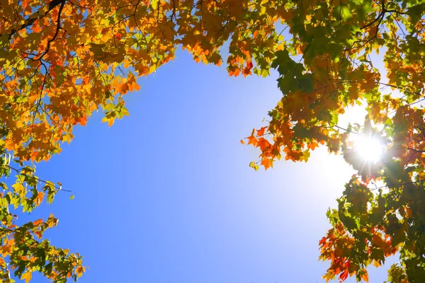 Quadro de outono — Fotografia de Stock