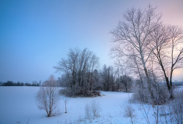 Escena de invierno —  Fotos de Stock