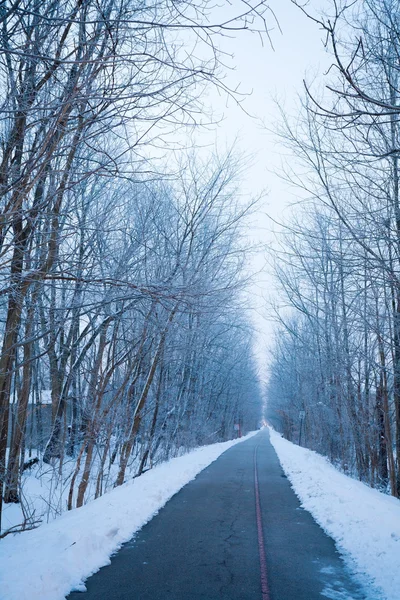 Winter alley — Stockfoto