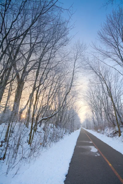 겨울 골목 — 스톡 사진