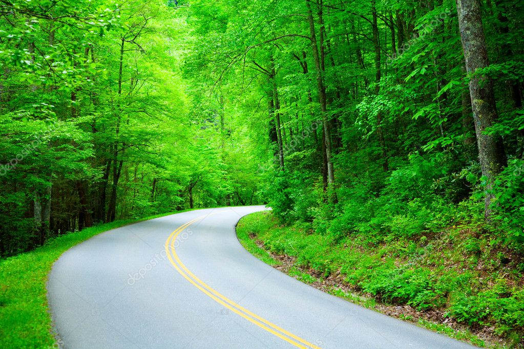 Road through the woods Stock Photo by ©alexeys 3403226