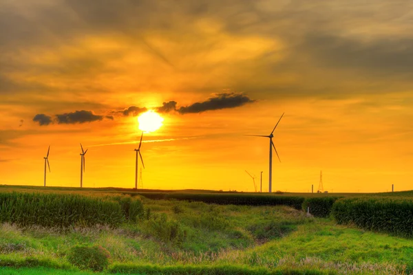 Windmolen boerderij zonsondergang — Stockfoto