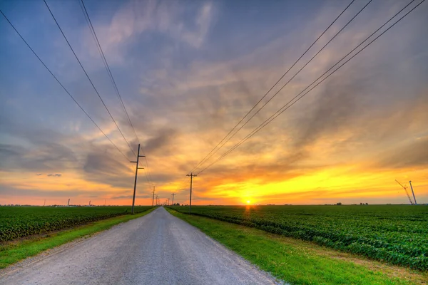 Rural sunset — Stok fotoğraf