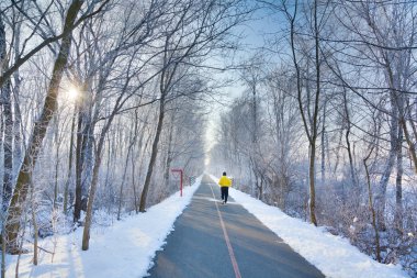 Winter morning in the park clipart