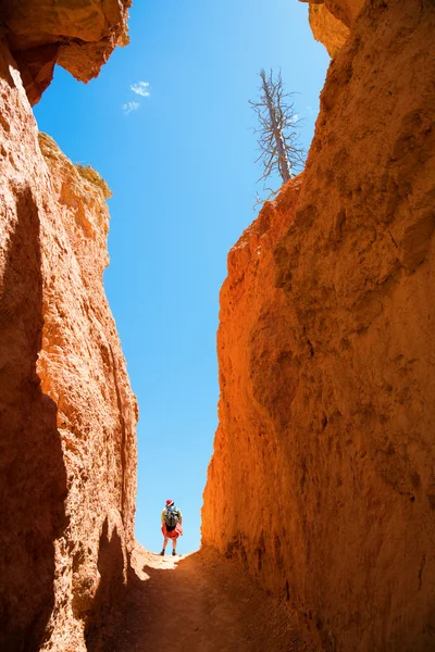 Pěší turistika v Bryce Canyonu — Stock fotografie